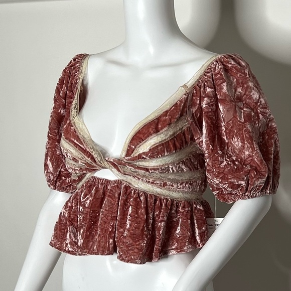 Free People Women’s Mauve Your Truly Crushed Velvet Top - Picture 5 of 8